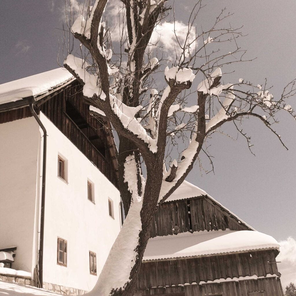 Old farmhouse, first mentioned in a document in 1532.